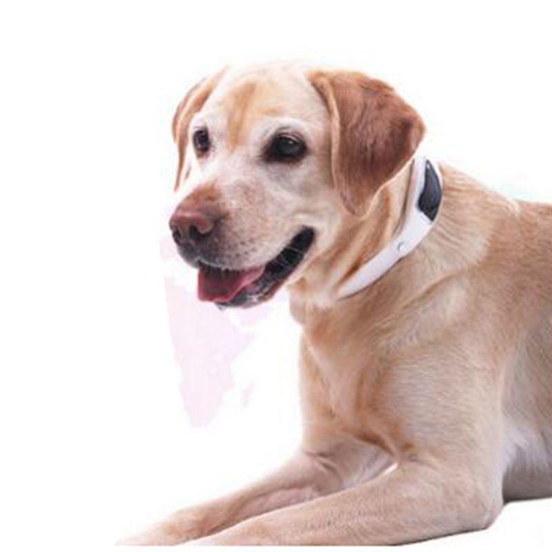WIFI Location Pets Locator Collar GPS Tracker Real Time Locator GPS Tracking Geofence - Image 5