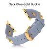 Drak blue-gold