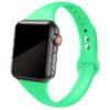19 Spearmint green