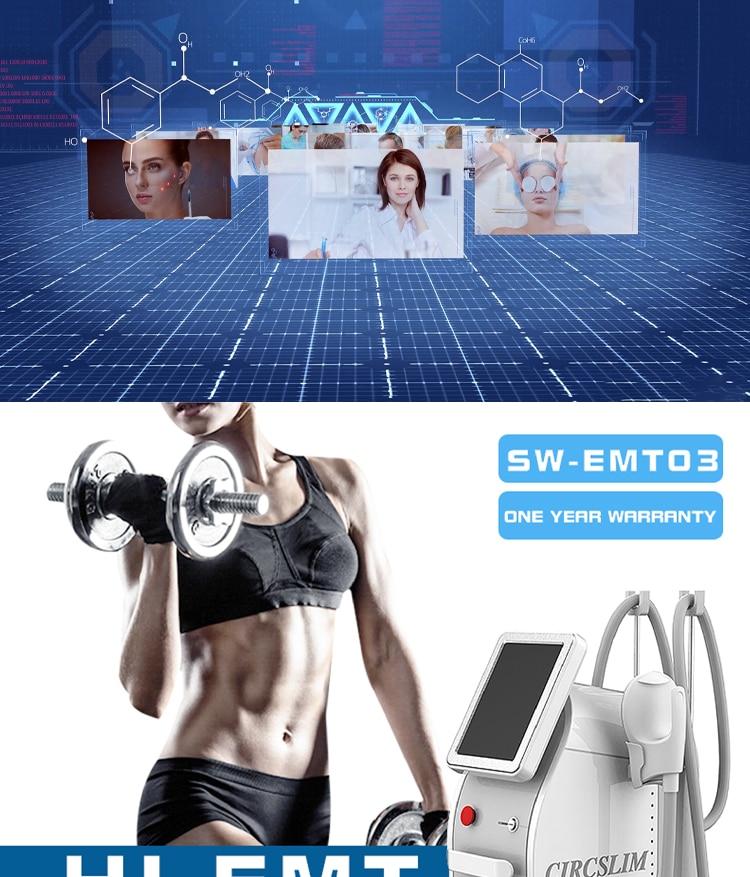 Aesthetics EMS Muscle Stimulation Bulding Face Skin Tightening Pain Treatment Rehabilitation Physiotherapy Fat Removal Machine