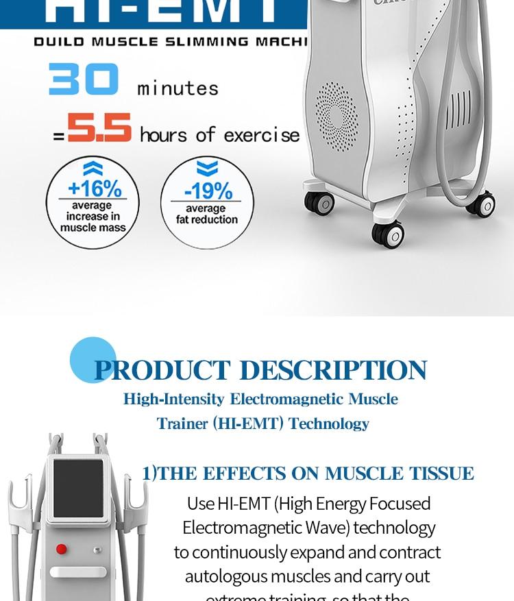Aesthetics EMS Muscle Stimulation Bulding Face Skin Tightening Pain Treatment Rehabilitation Physiotherapy Fat Removal Machine