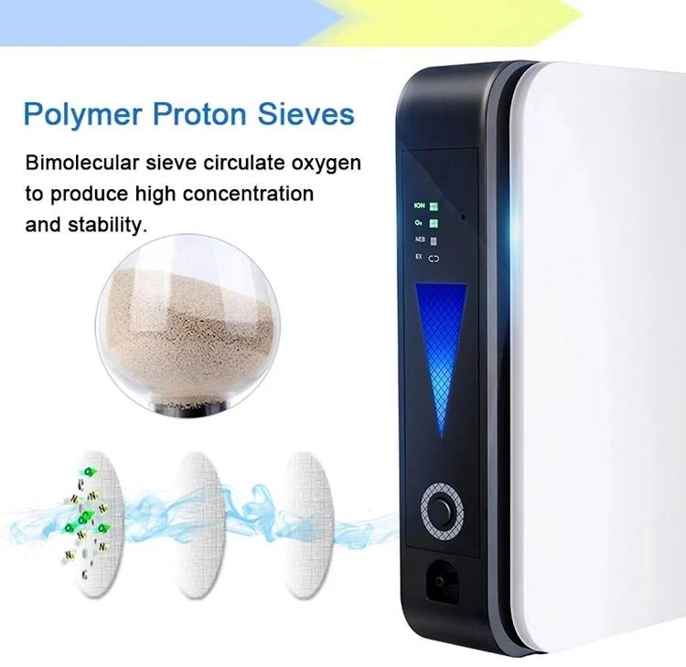 2 In 1 Protable Car Home Oxygen Concentrator with Nebulization Car Negative Ion Oxygen Machine Indoor Oxygen Generator