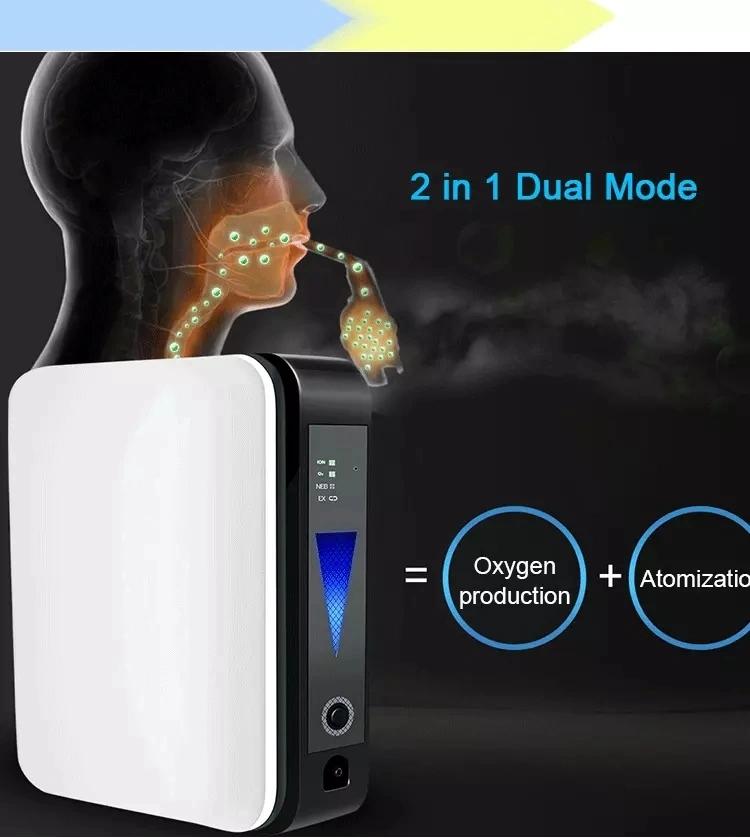 2 In 1 Protable Car Home Oxygen Concentrator with Nebulization Car Negative Ion Oxygen Machine Indoor Oxygen Generator