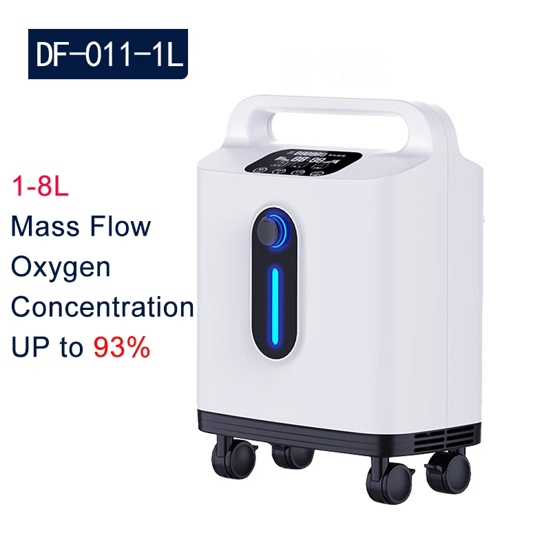 1L